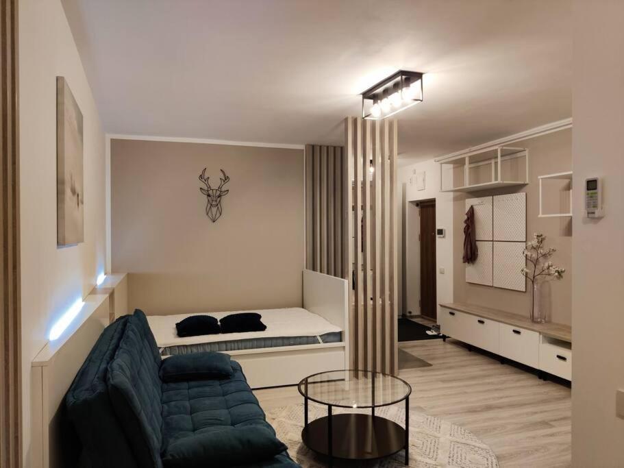 Joy City Stay Vivalia V6A-41 Timisoara Exterior photo