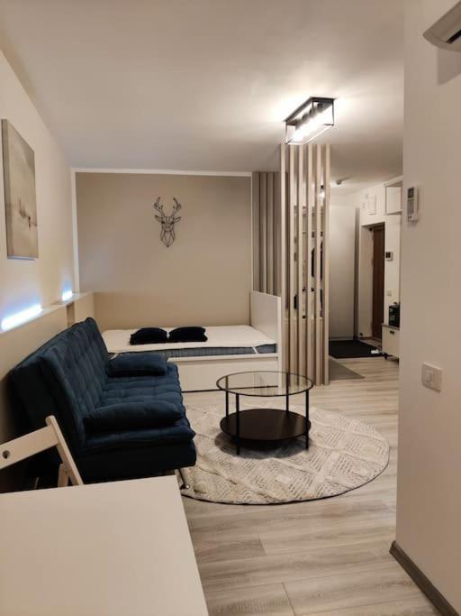 Joy City Stay Vivalia V6A-41 Timisoara Exterior photo